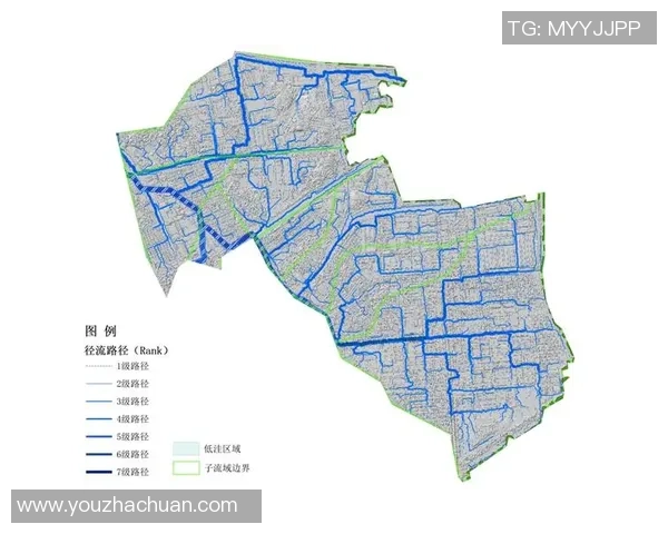 深圳排球队灵活性分析与表现评估探讨 深圳排球队灵活性分析与表现评估探讨
